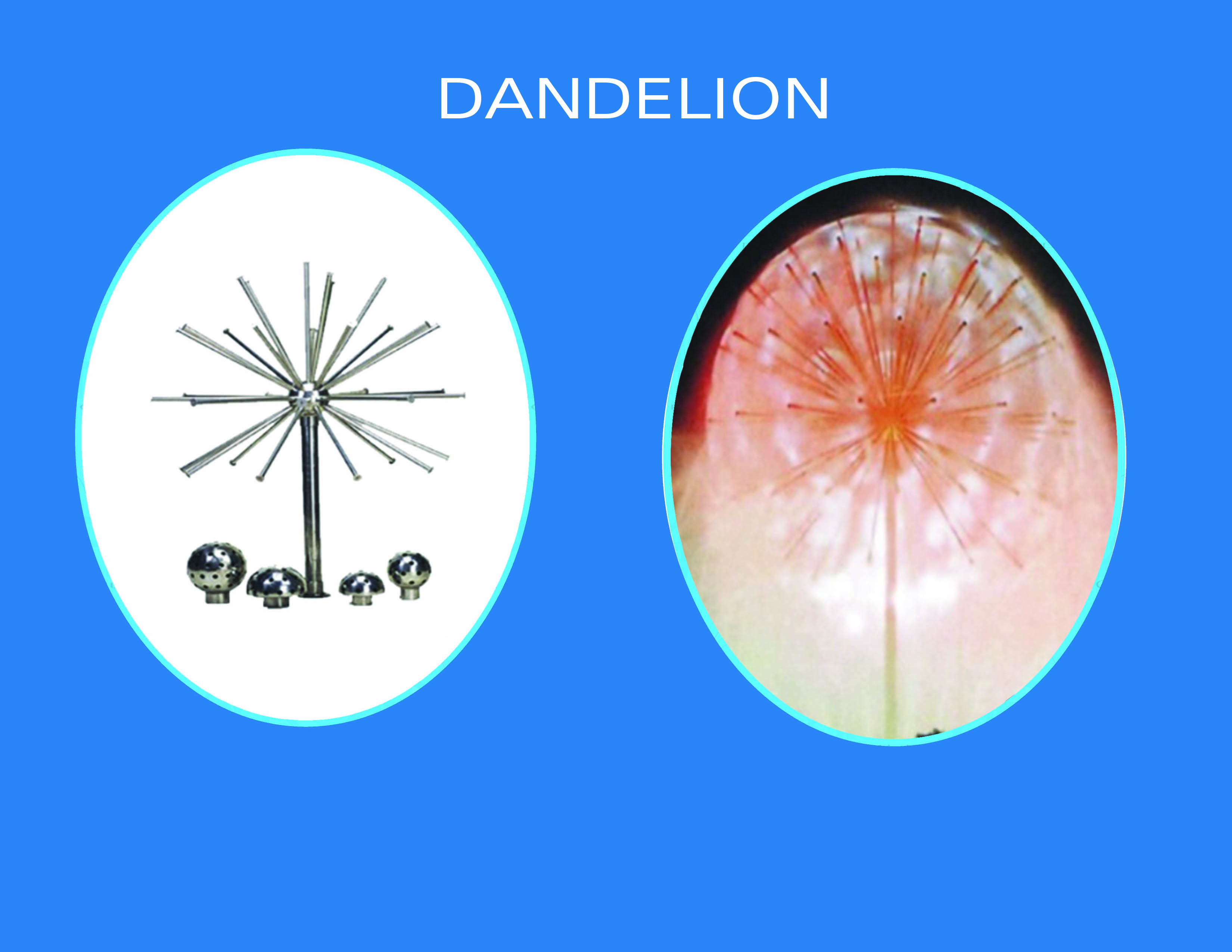 Boquilla Dandelion para efecto esfera de agua en fuente